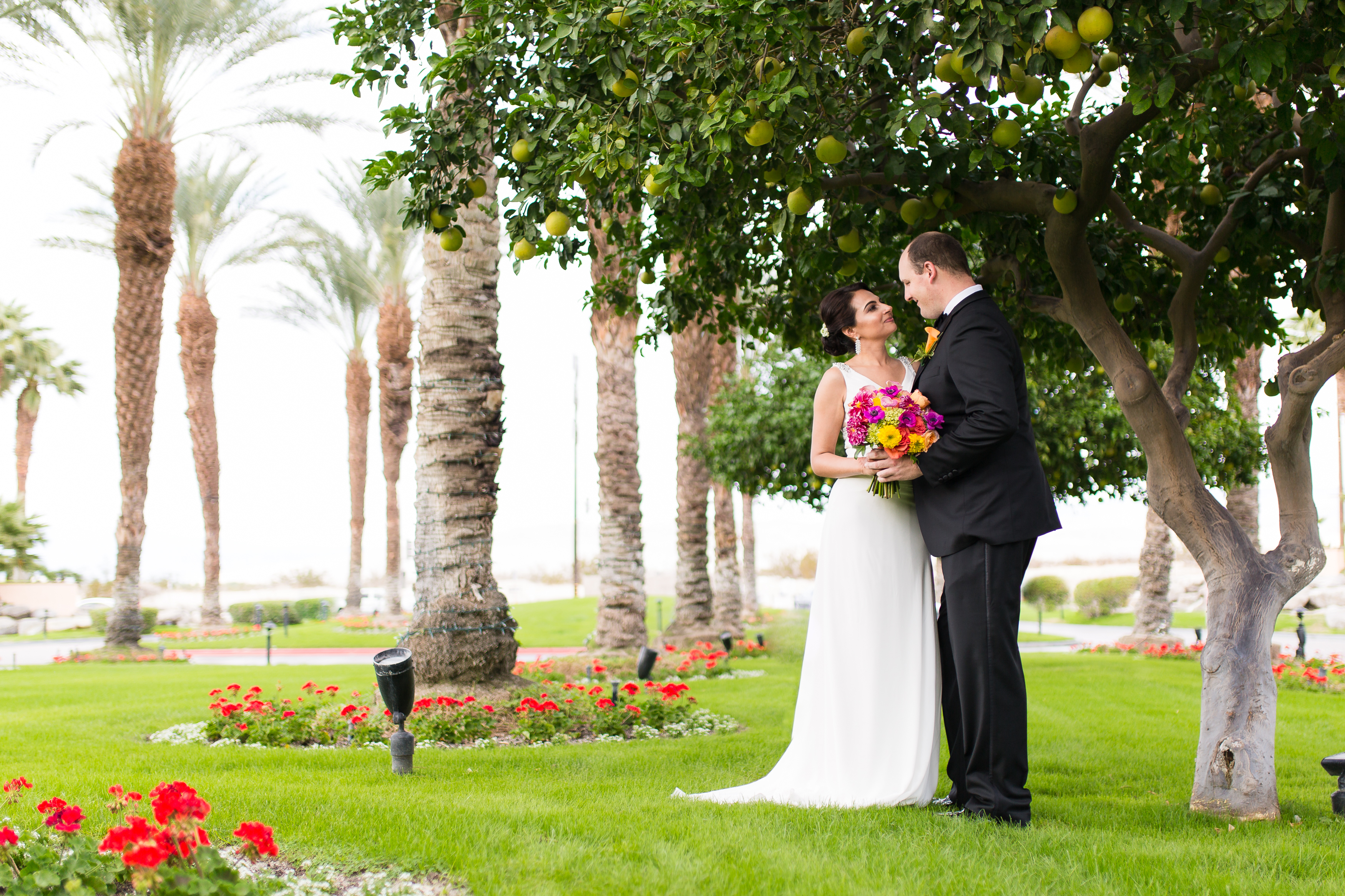 Couple under tree at Westin Mission Hills in Rancho Mirage