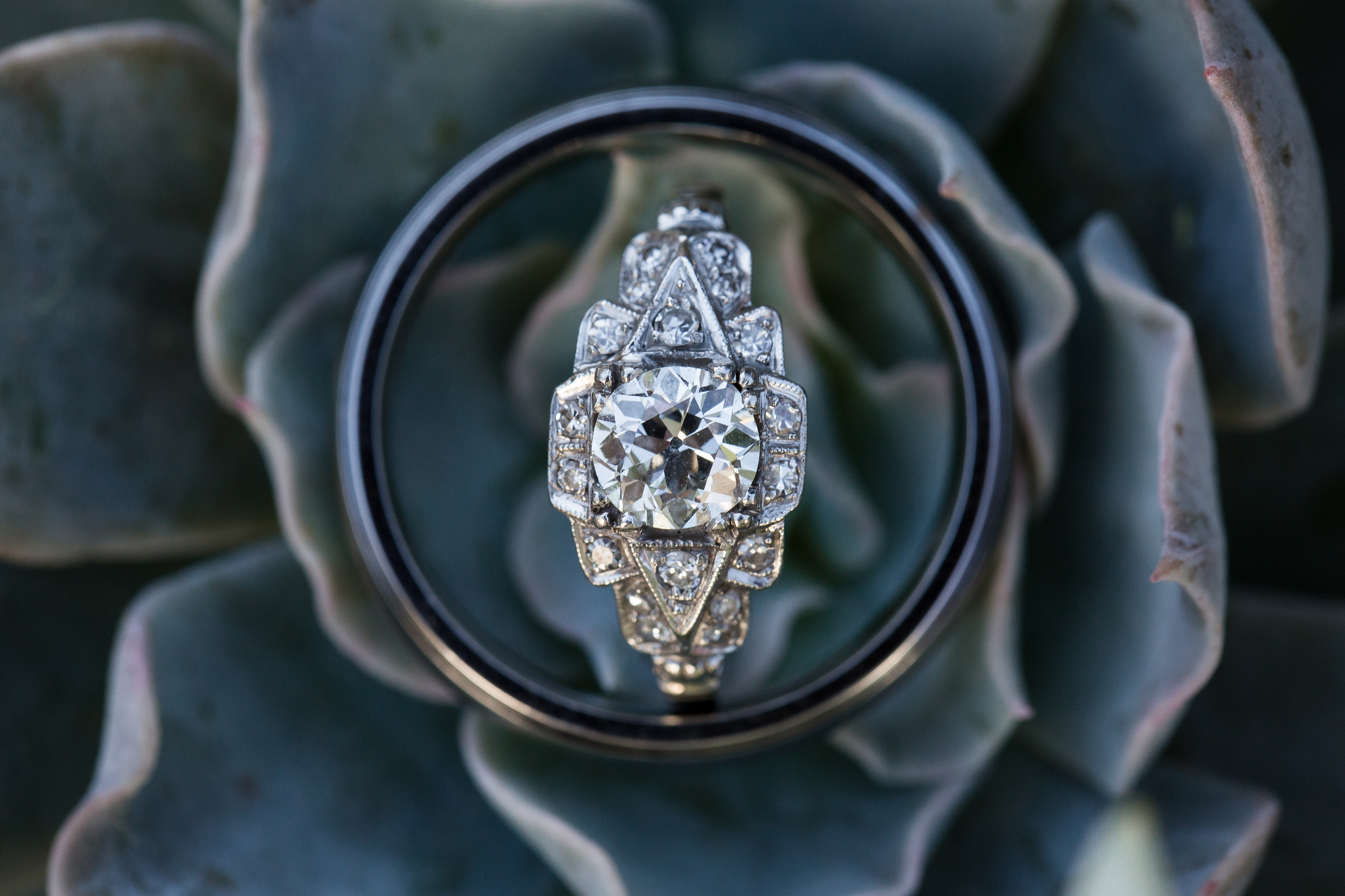 Multiple diamond engagement ring inside wedding ring on succulent