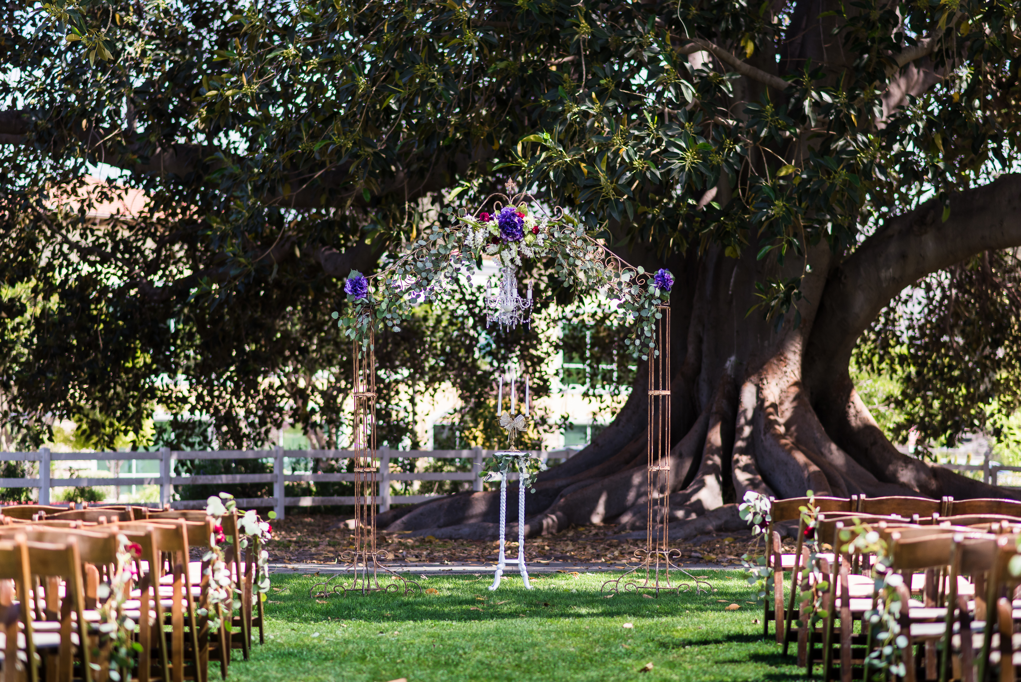 Ceremony alter by tree at Camarillo Ranch House