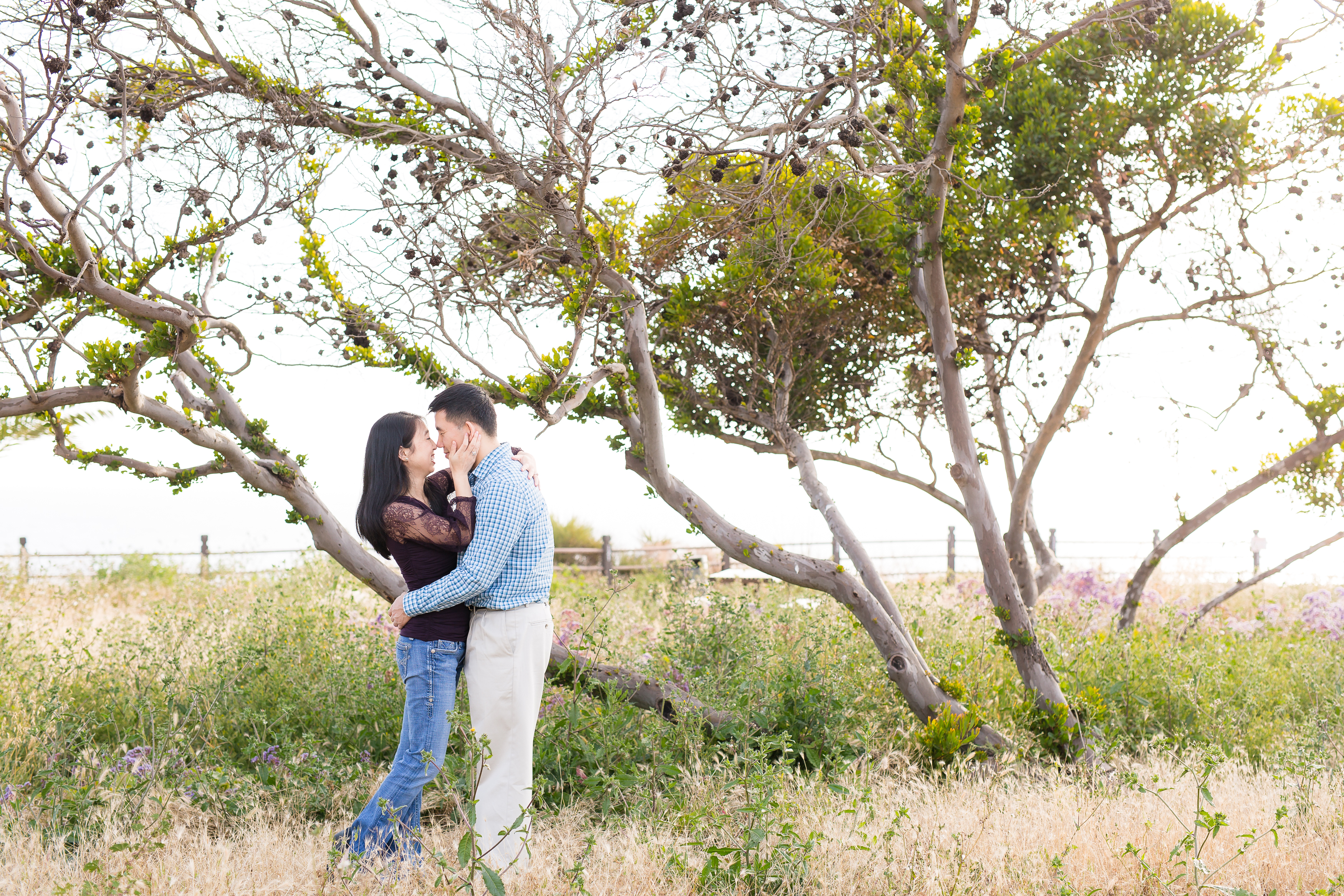 Couple dipping in grass and kissing by tree in Palos Verdes