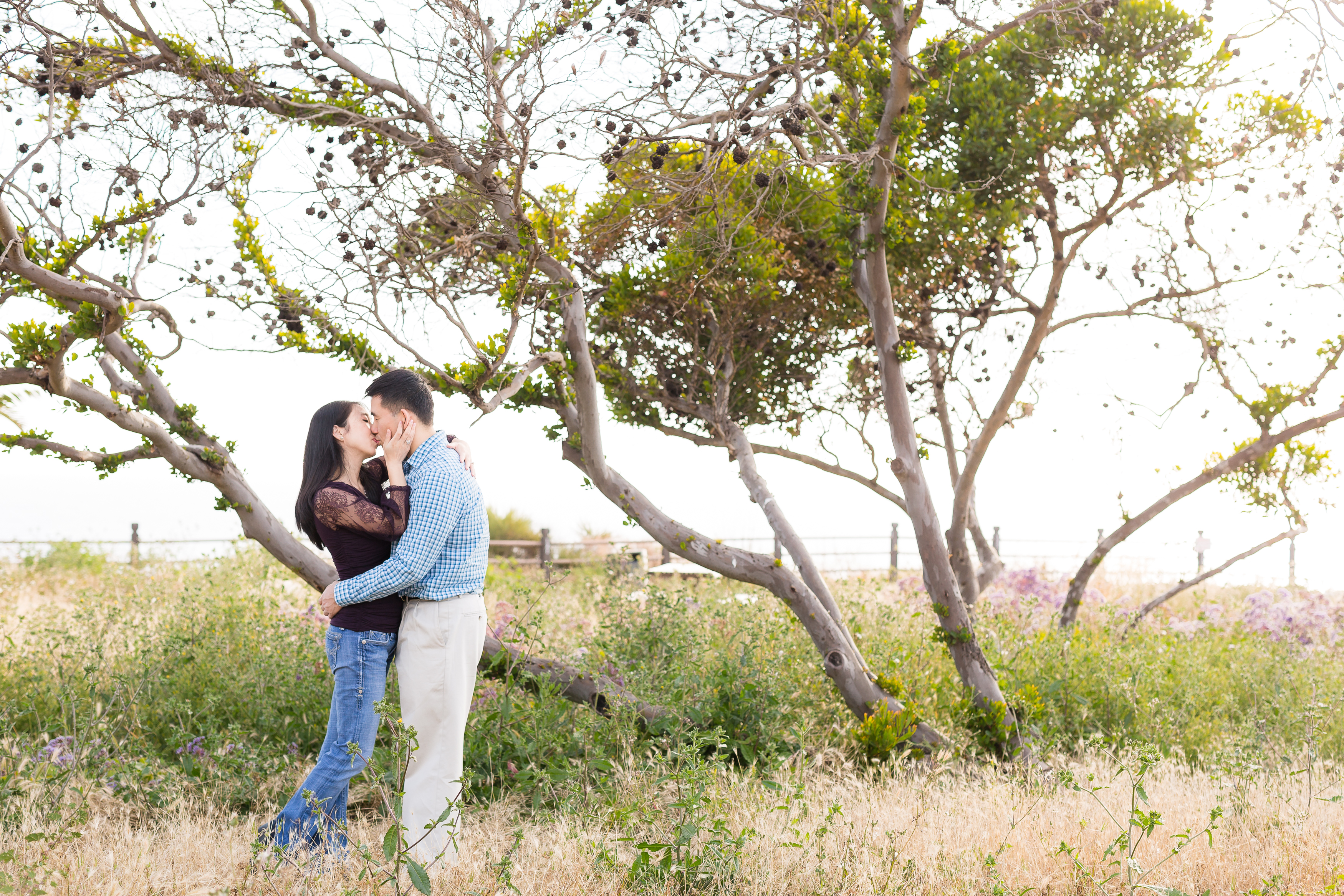 Engaged couple kissing by tree along cliffside in Palos Verdes