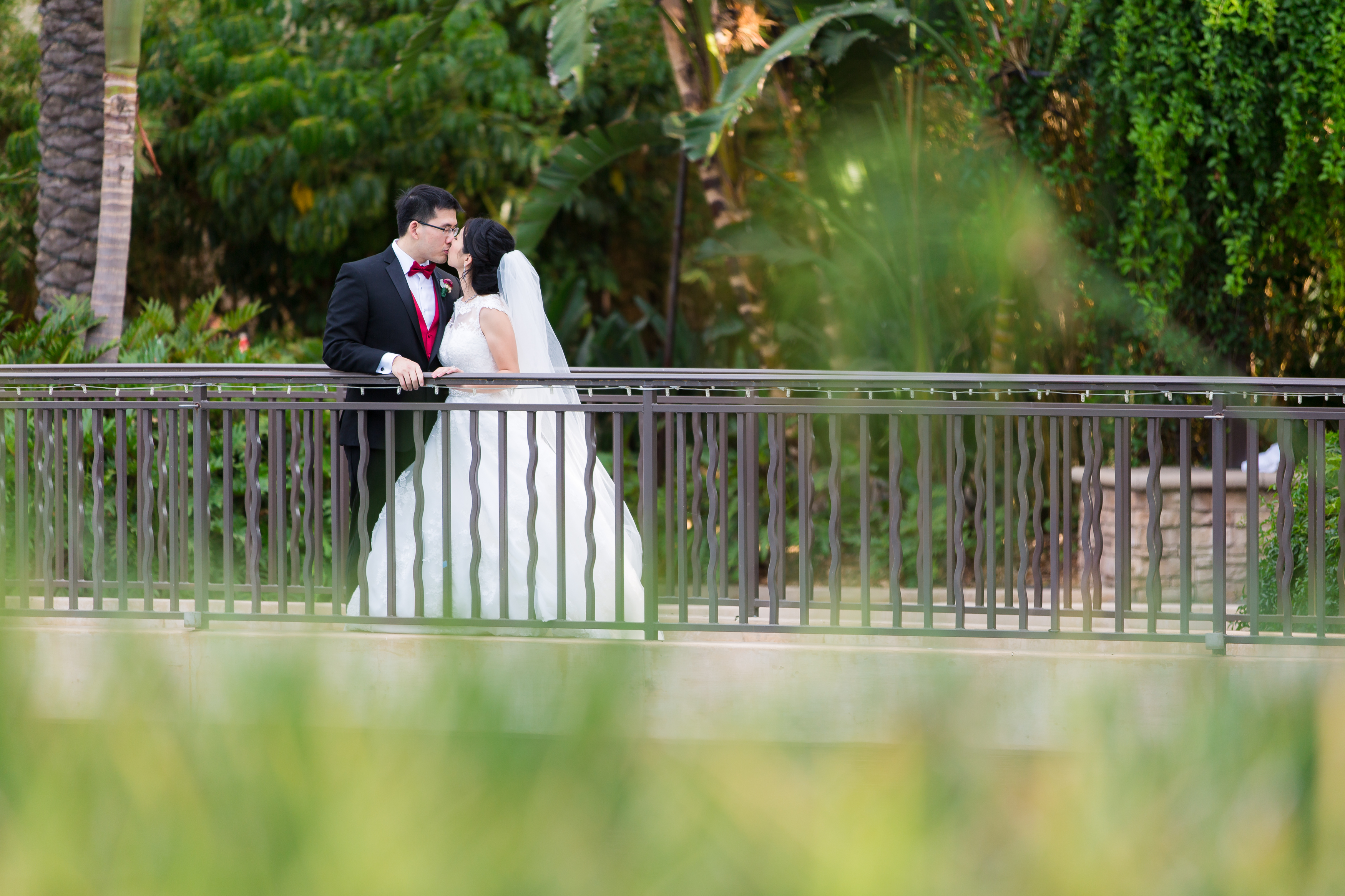 Wedding couple kissing on bridge surrounded by grass and palm trees