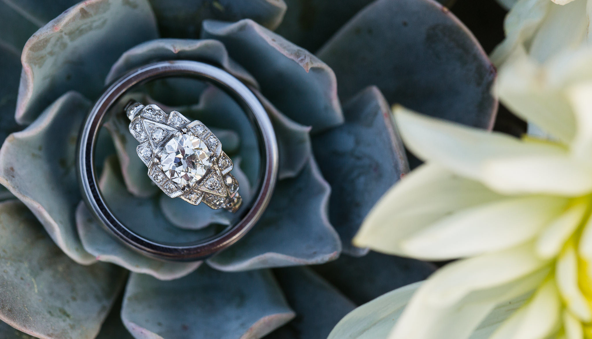 Unique Engagement and Wedding Ring Set in cactus