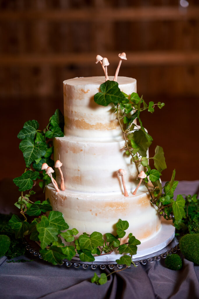 Dallas wedding photographers capture three tiered wedding cake with mushrooms on it 