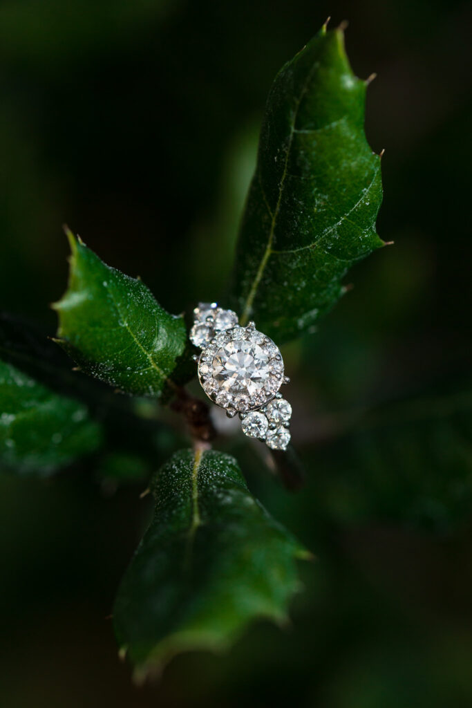 Round diamond cut halo engagement ring on winter leaves